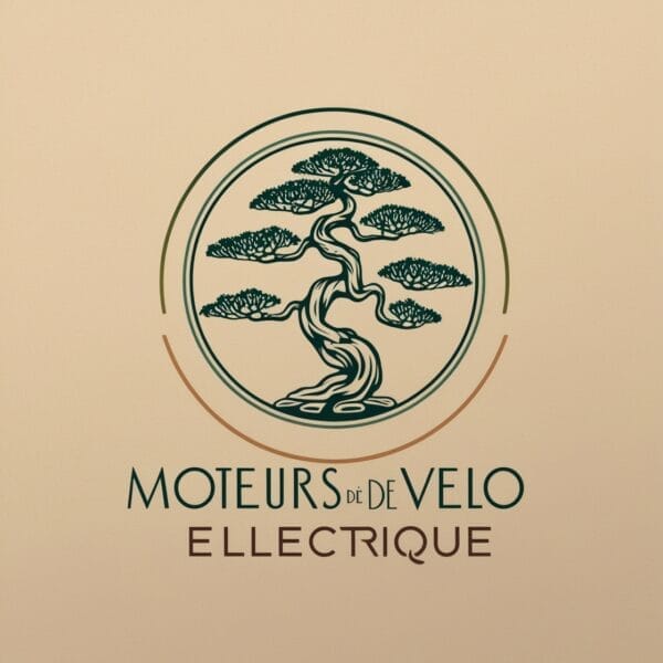 Moteur de vélo électrique puissant