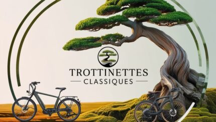 trottinettes classique