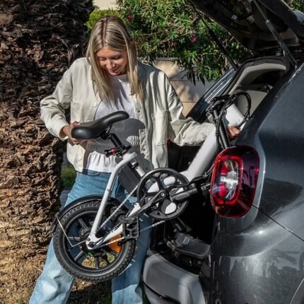 Vélo pliant Fiido D3 Pro pas cher