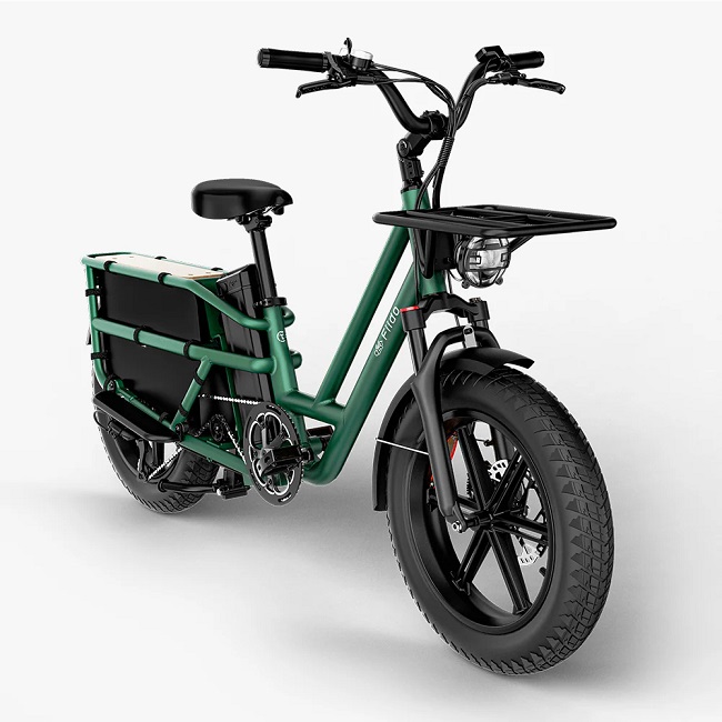 Vélo électrique Longtail puissant