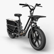 Vélo électrique Longtail puissant