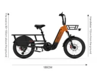 vélo cargo électrique pas cher